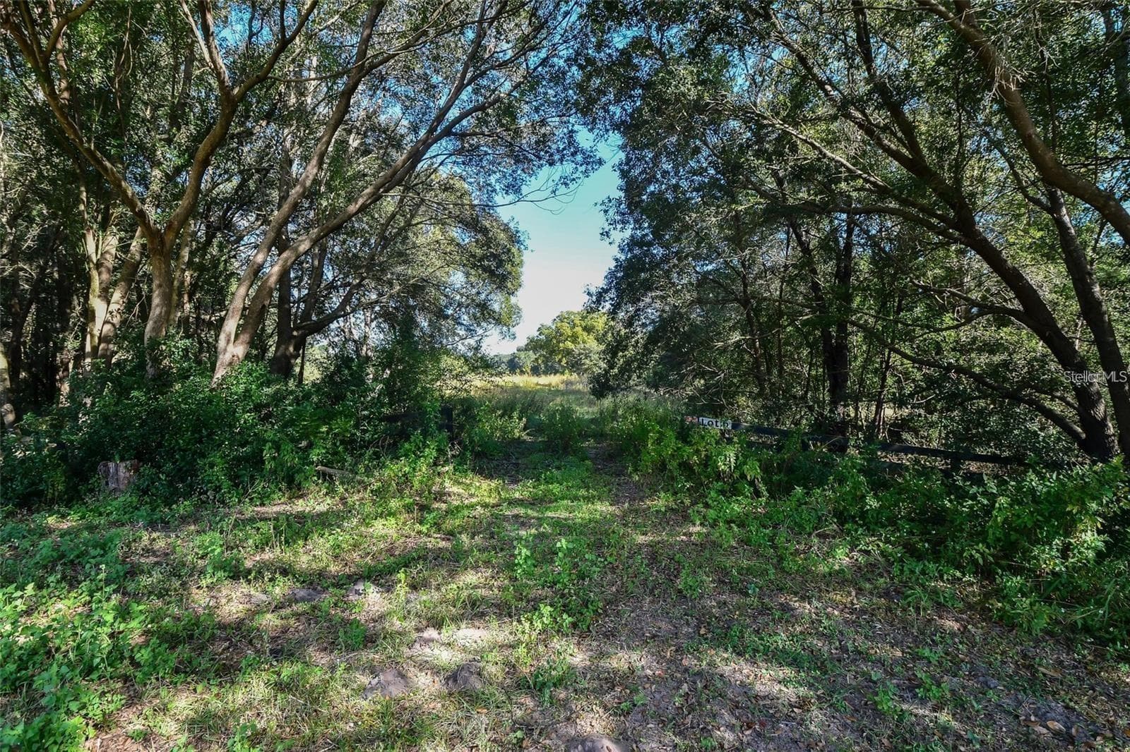 Land at TREE FROG LOT 6 LN, EUSTIS, photo 13 of 19