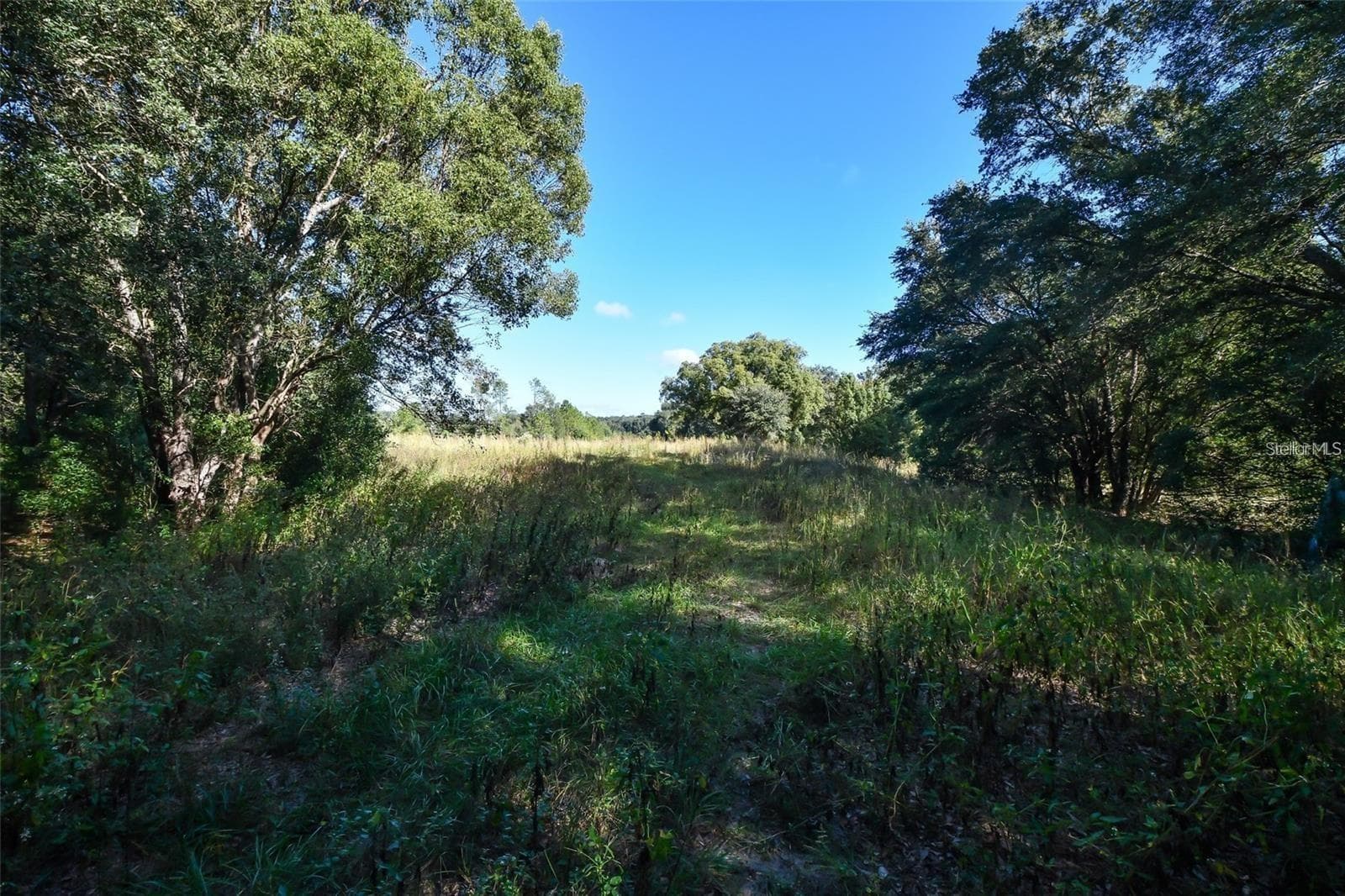 Land at TREE FROG LOT 6 LN, EUSTIS, photo 14 of 19