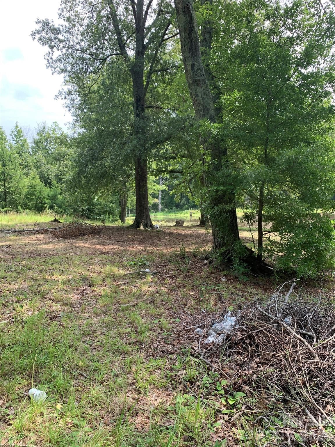 view of north .36 acre pond side frontage - 524 Dawn Circle, Charlotte