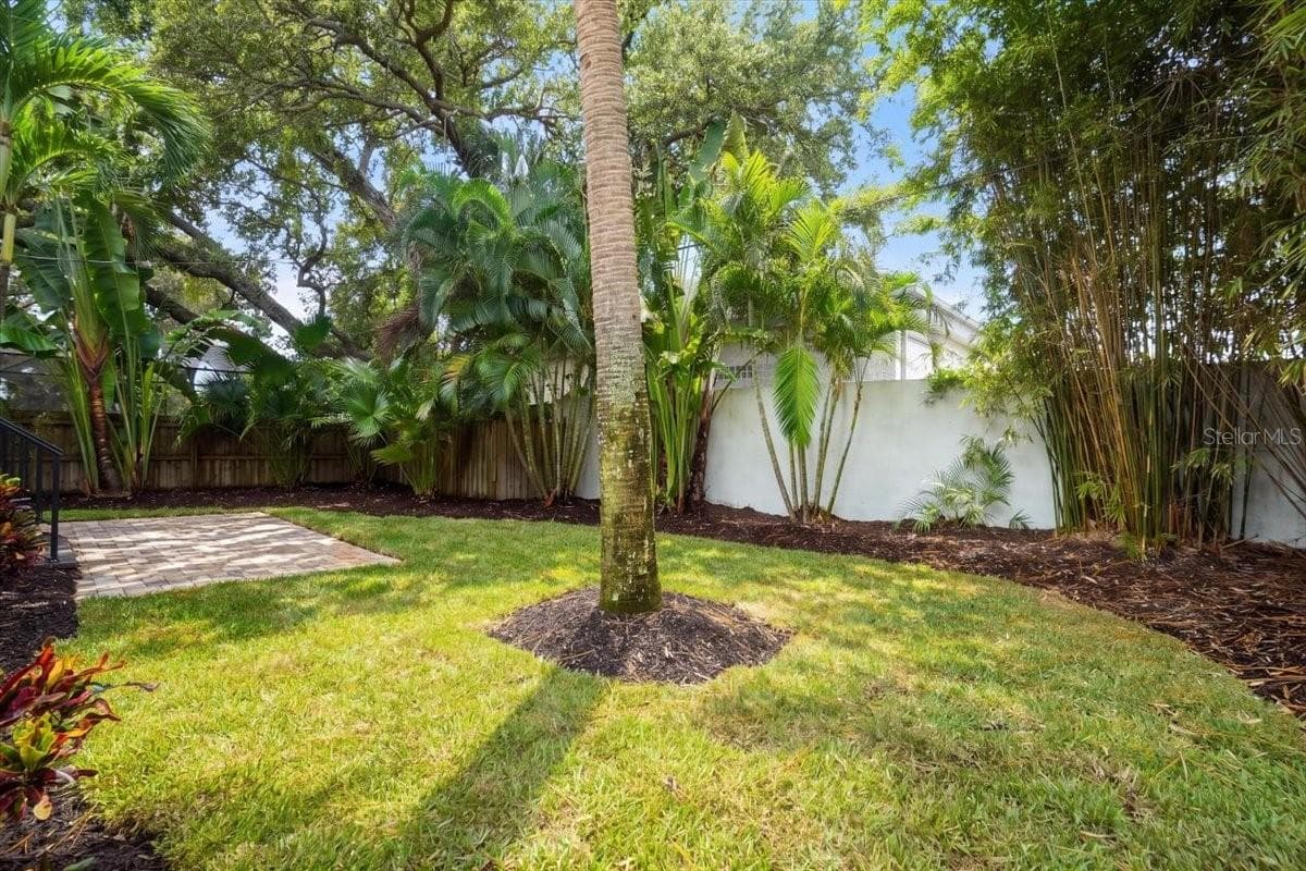 Backyard - 3615 W RENELLIE CIR, TAMPA