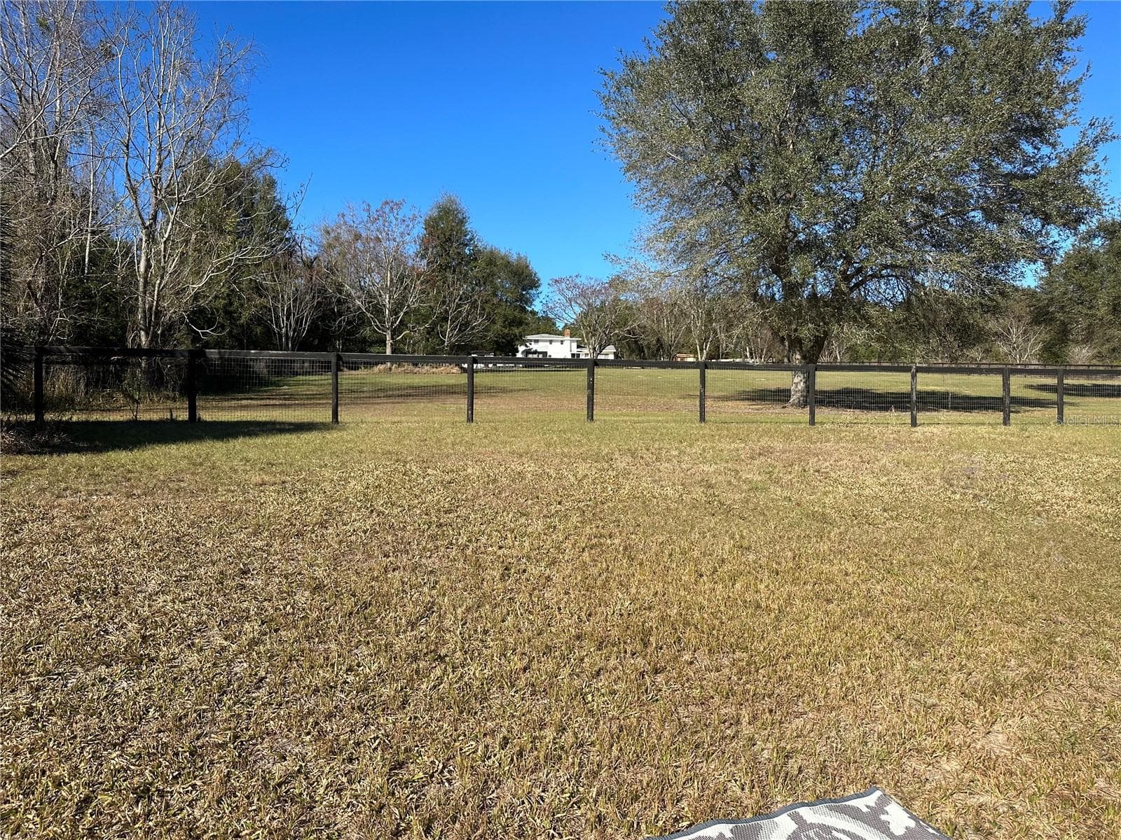 view of house from lake - 2406 LAKE ELLA RD, FRUITLAND PARK