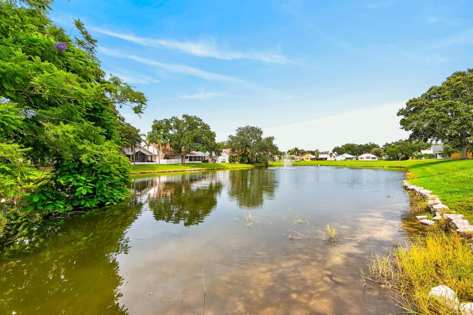 Single Family Residence at 7737 MARBELLA CREEK AVE, TAMPA, photo 21 of 22