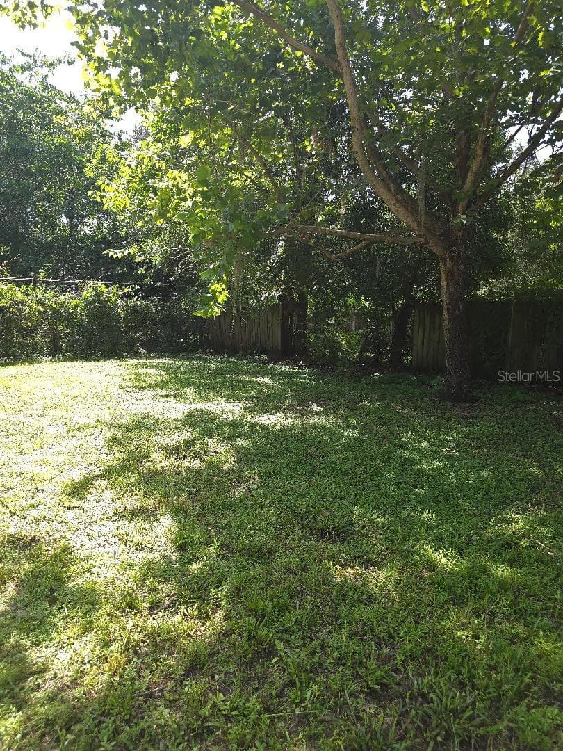 Back Yard - 3501 NW 17 TER, GAINESVILLE