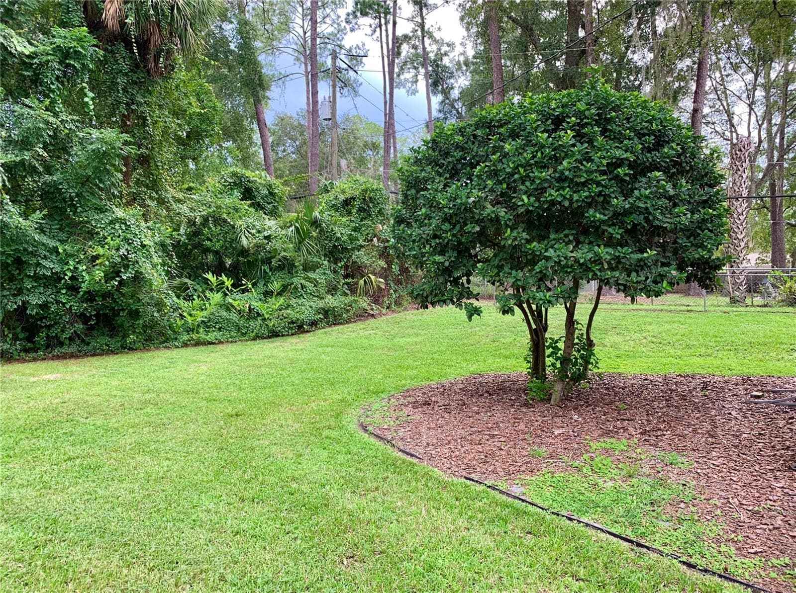 Backyard - 2238 NW 16TH AVE, GAINESVILLE
