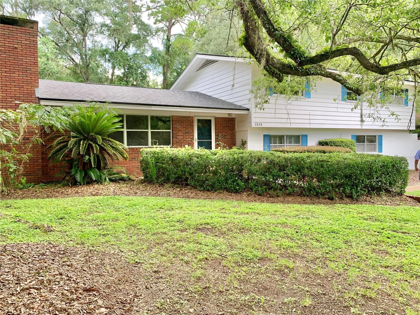 Front of home - 2238 NW 16TH AVE, GAINESVILLE
