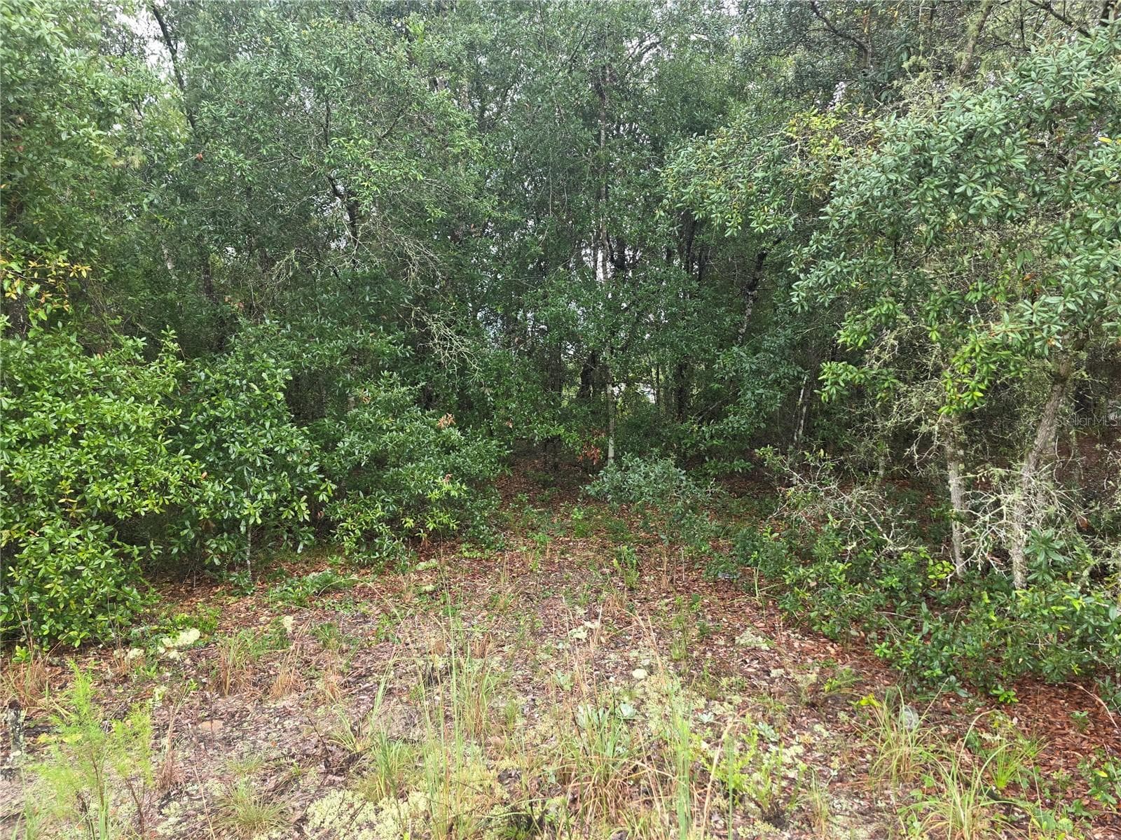 Land at Lot 16 SW MARINE BLVD, DUNNELLON, photo 4 of 4