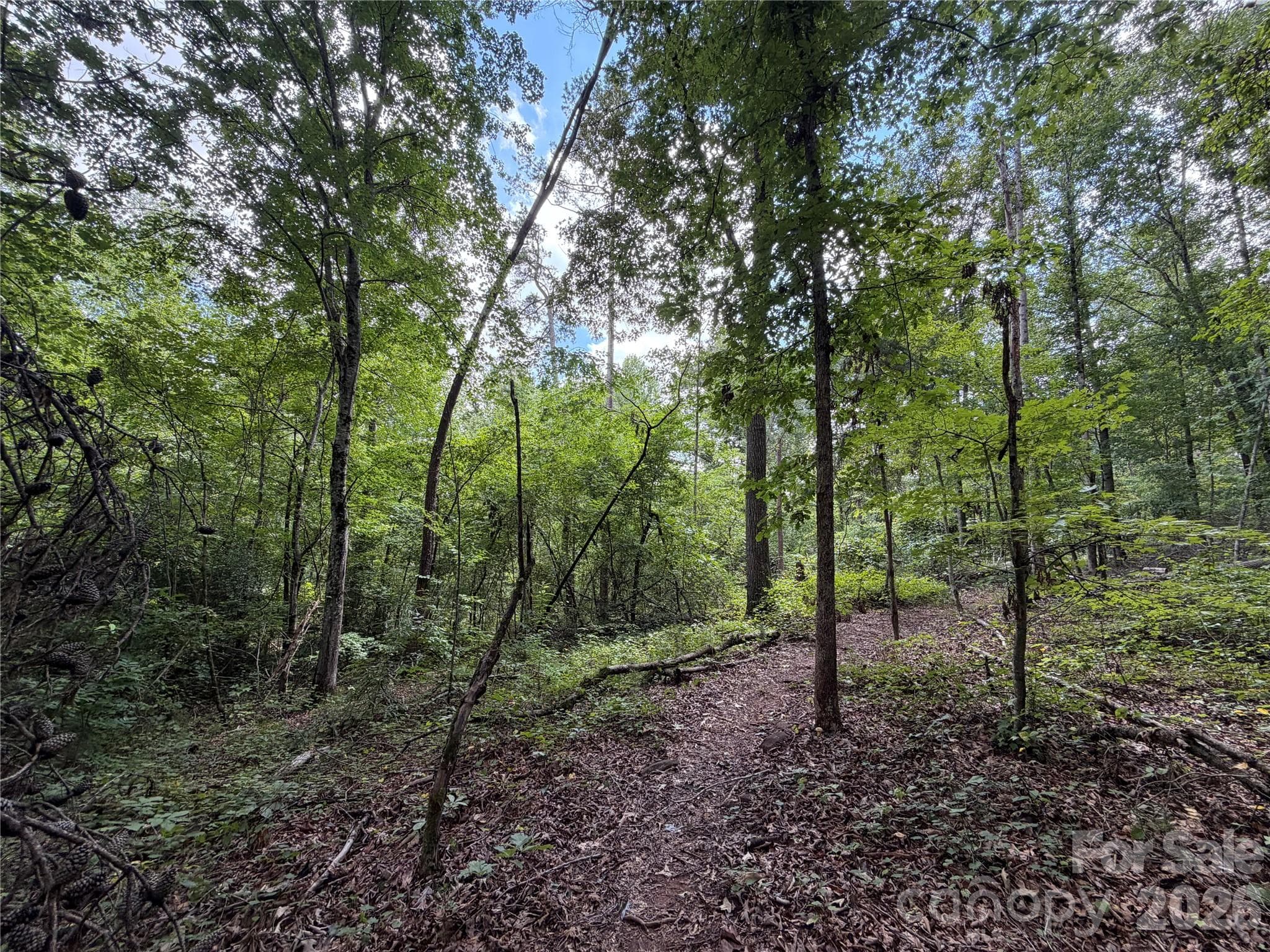 Acreage at 0 spindale Street, Spindale, photo 7 of 16