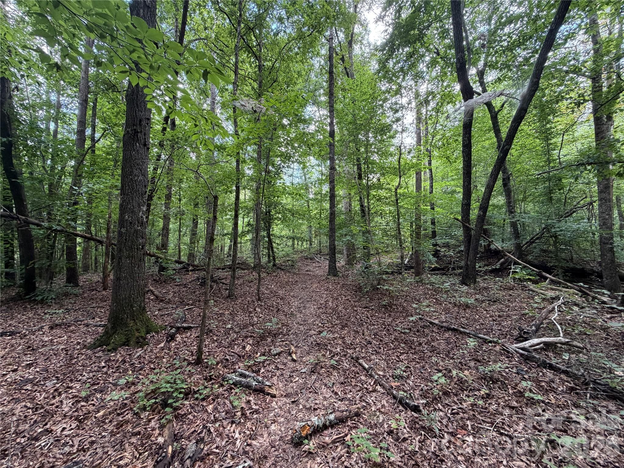 Acreage at 0 spindale Street, Spindale, photo 11 of 16