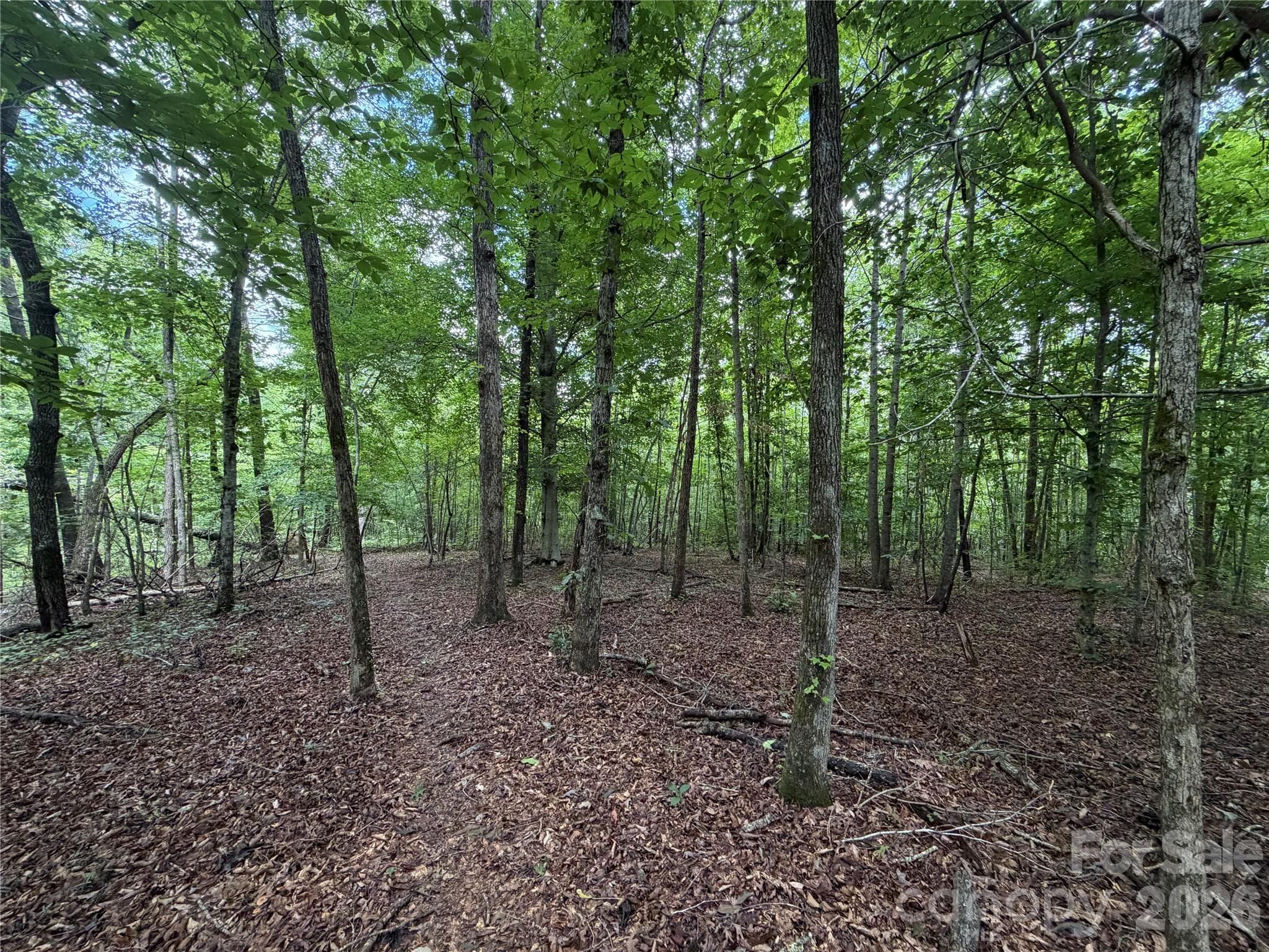 Acreage at 0 spindale Street, Spindale, photo 12 of 16
