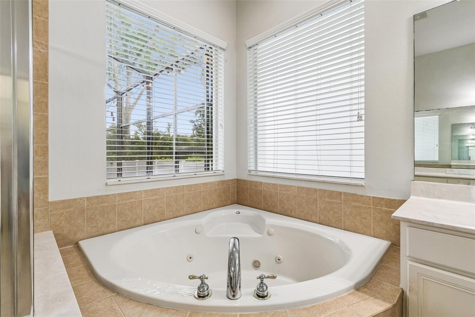 Single Family Residence at 8523 NORTHTON GROVES BLVD, ODESSA, photo 41 of 96