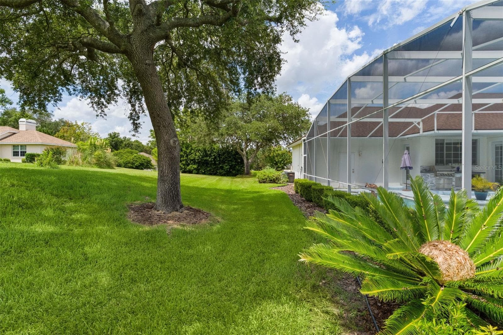 Backyard - 39407 TREELINE DR, LADY LAKE