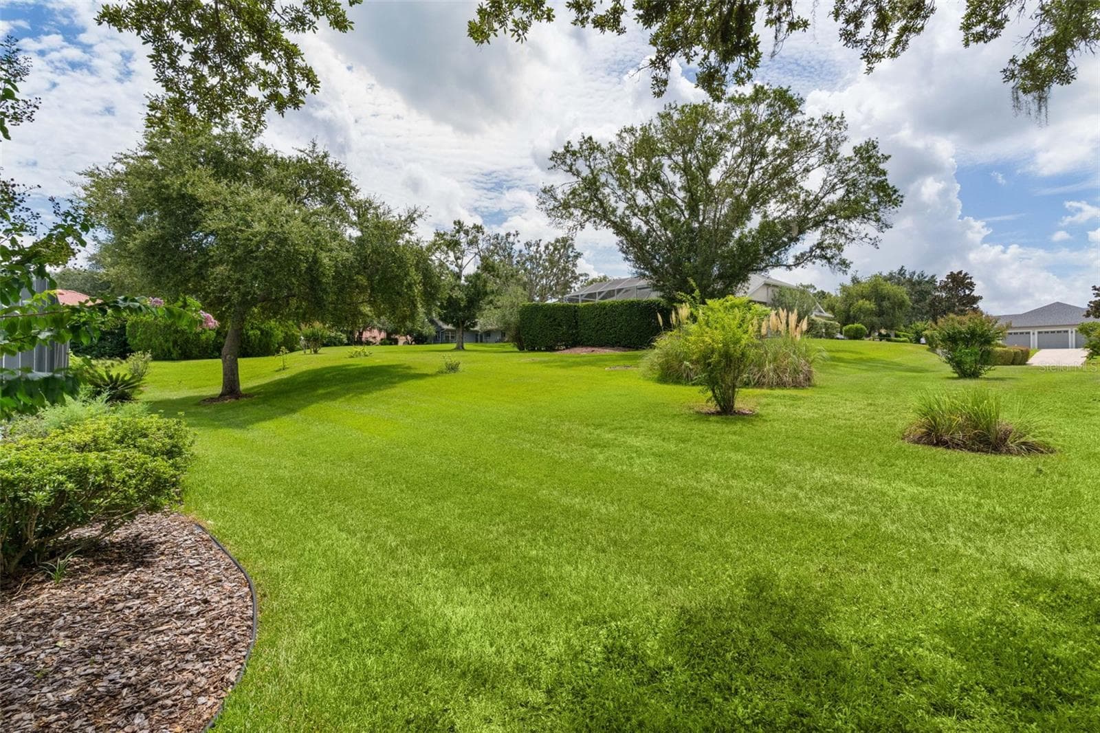 Backyard - 39407 TREELINE DR, LADY LAKE