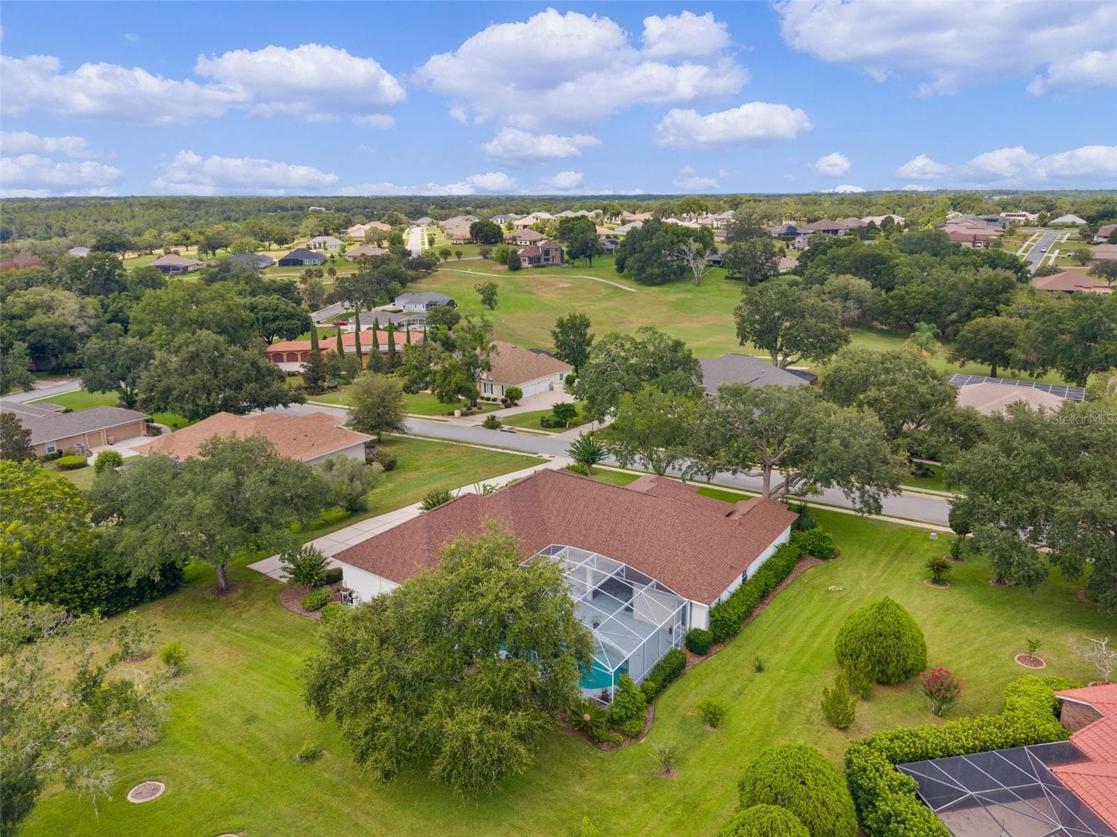 Rear Overhead - 39407 TREELINE DR, LADY LAKE