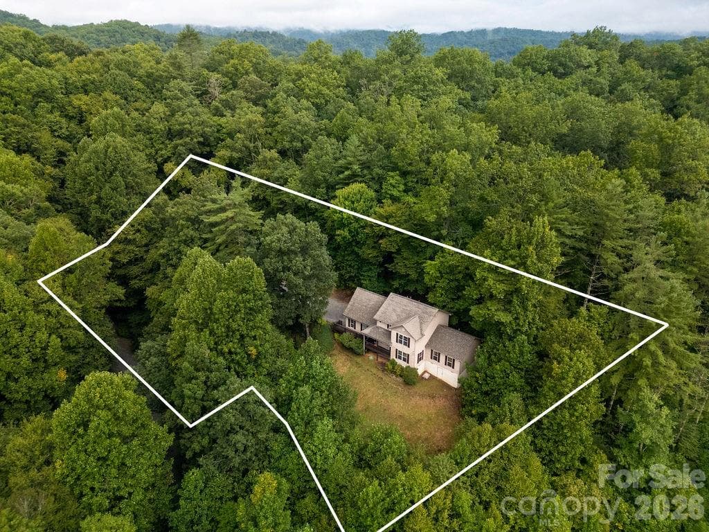 Single Family Residence at 62 Pine Hill Drive, Brevard, photo 6 of 44