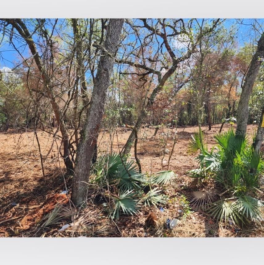 Land at 20385 SE 155TH PL, UMATILLA, photo 4 of 4