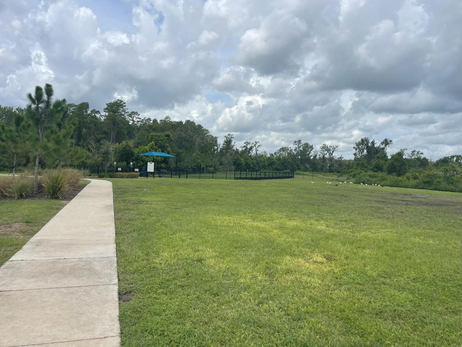 Single Family Residence at 3943 ALMOND BROOK BLVD, LAND O LAKES, photo 24 of 27