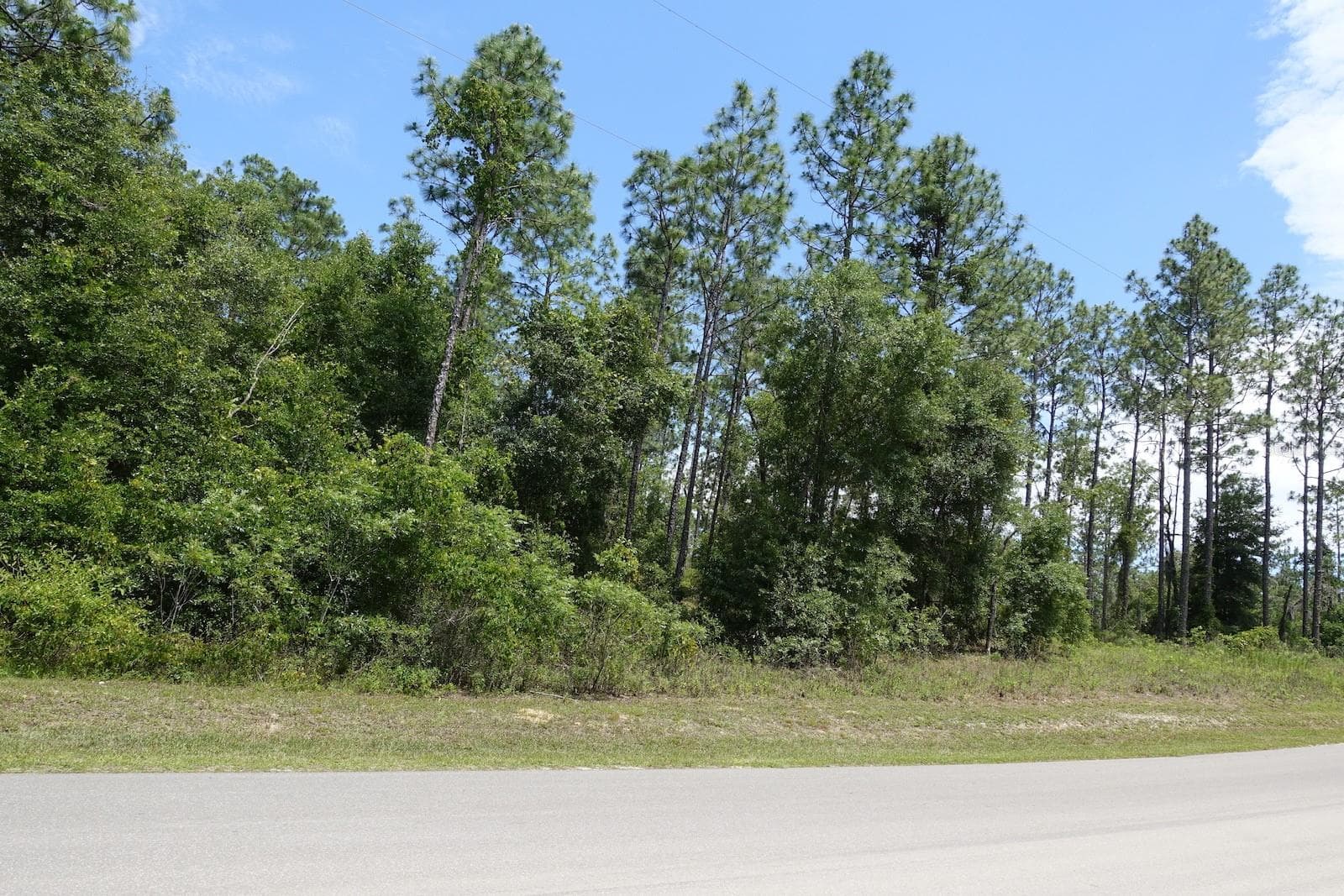 Ocala Homesite - SW 38th Street & SW 159 CT, OCALA