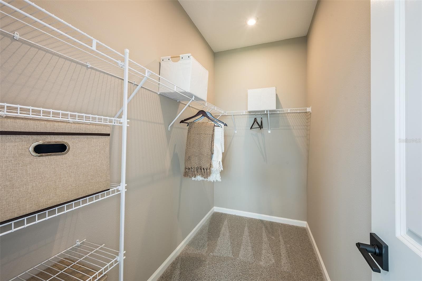 Model Home - 34897 FLOWER PATCH DR, DADE CITY