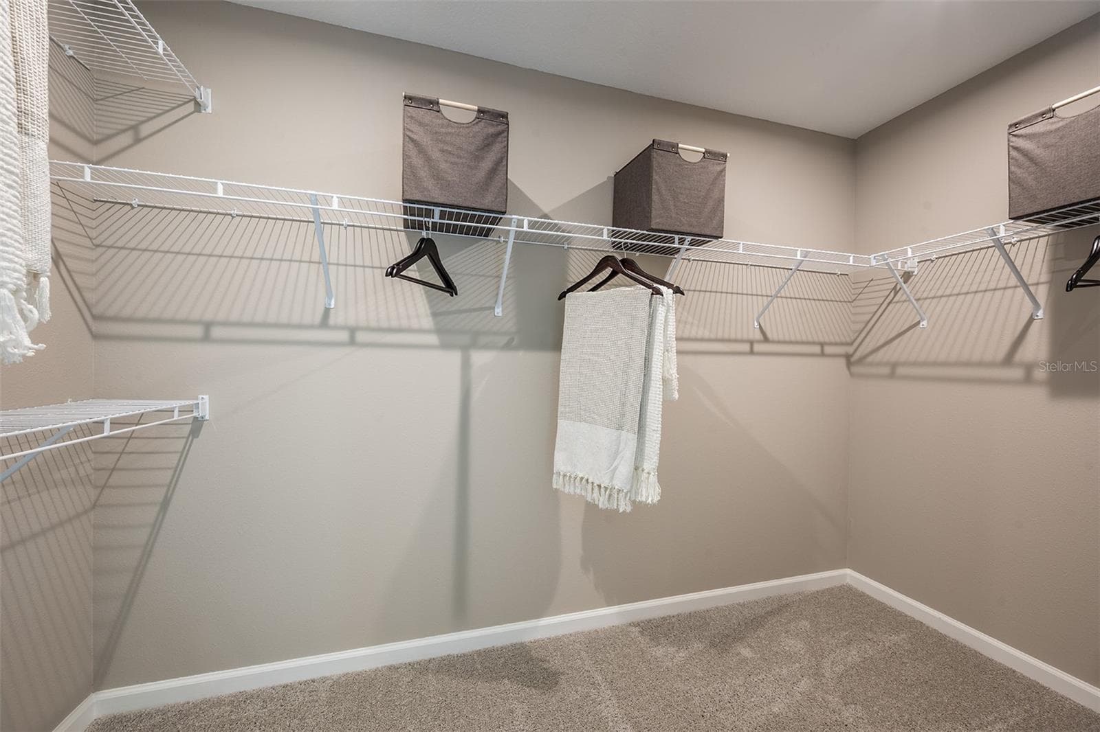 Model Home - 34897 FLOWER PATCH DR, DADE CITY