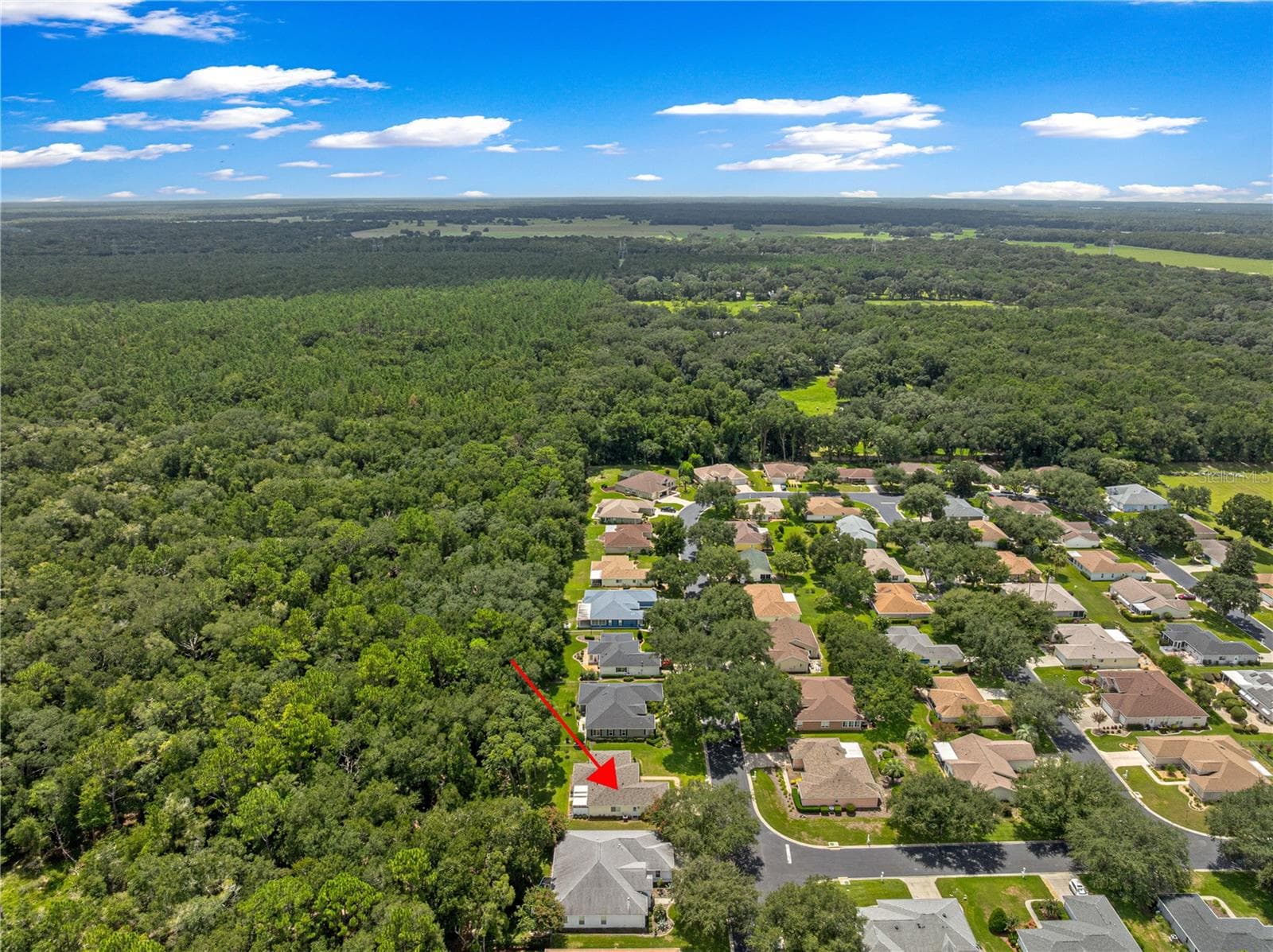 Single Family Residence at 14366 SW 115TH CIR, DUNNELLON, photo 55 of 63