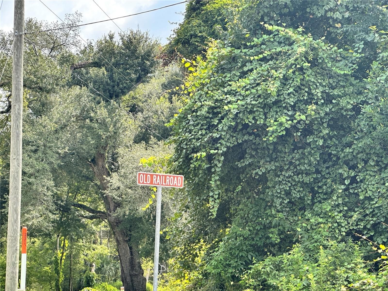 Land at NW WEST SOUTH DR, MAYO, photo 11 of 25