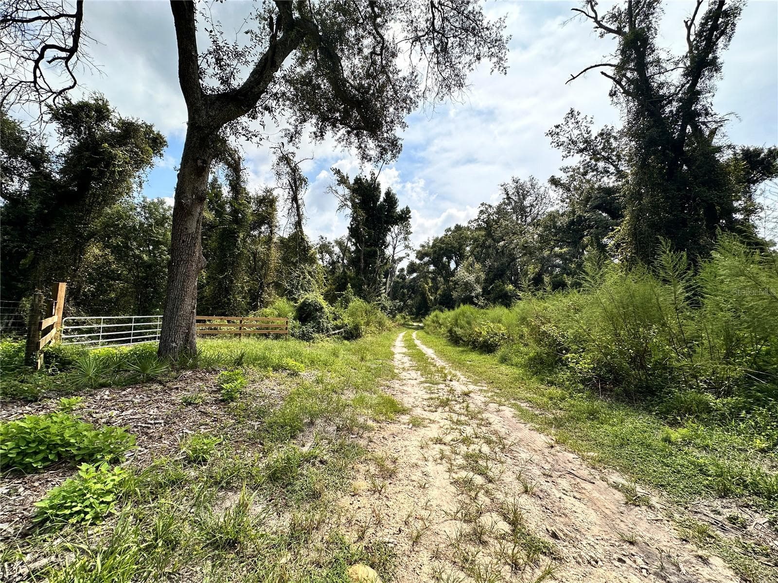 Land at NW WEST SOUTH DR, MAYO, photo 20 of 25