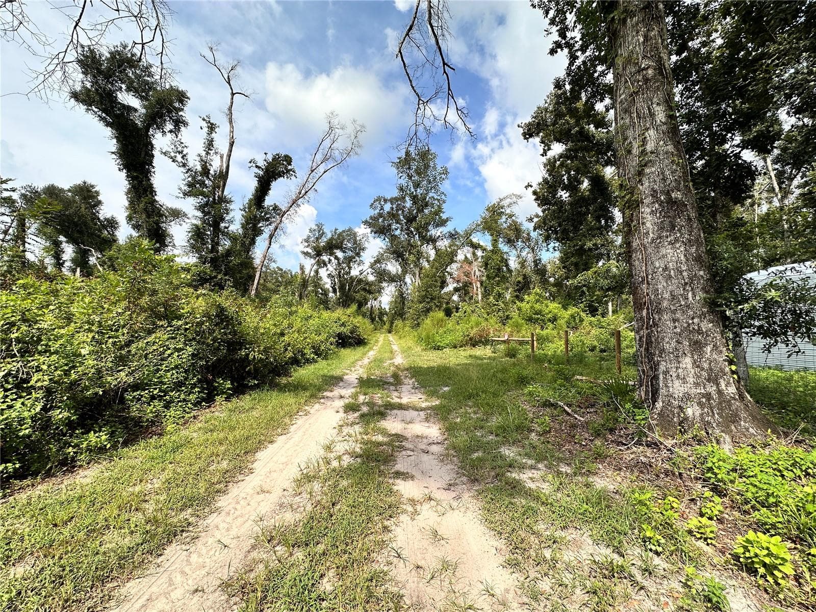 Land at NW WEST SOUTH DR, MAYO, photo 22 of 25