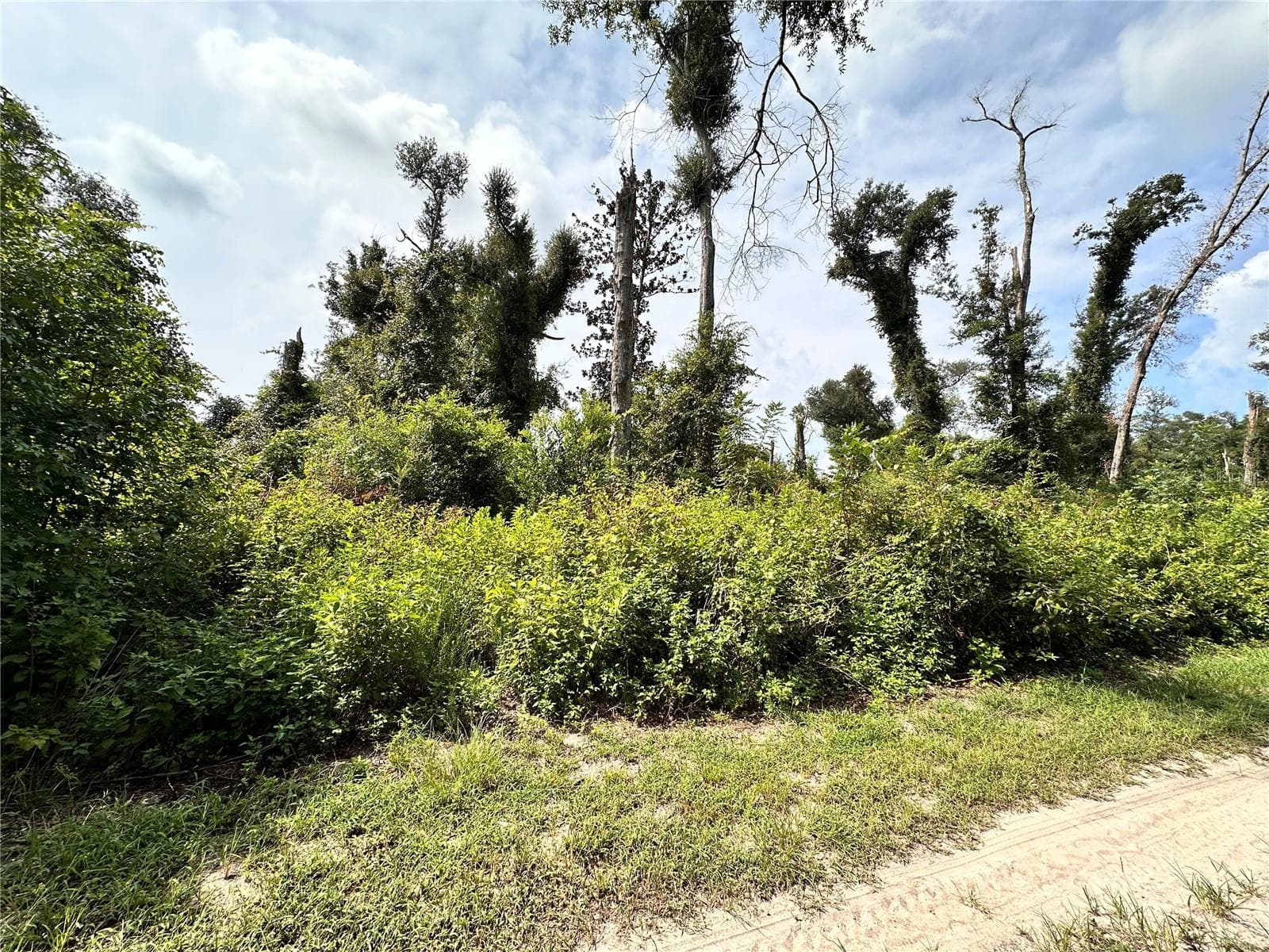 Land at NW WEST SOUTH DR, MAYO, photo 23 of 25