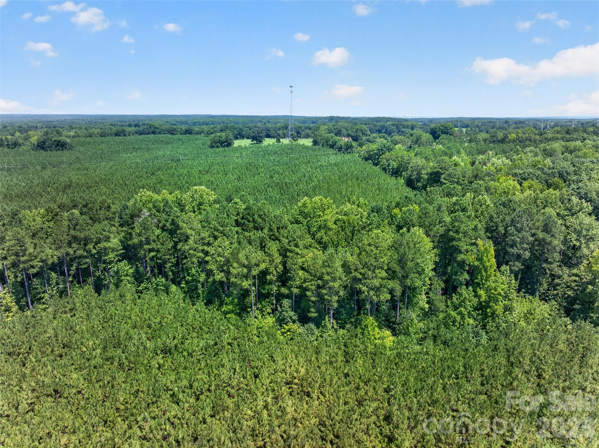 Acreage at 0000 Westbrook Road, Edgemoor, photo 10 of 48