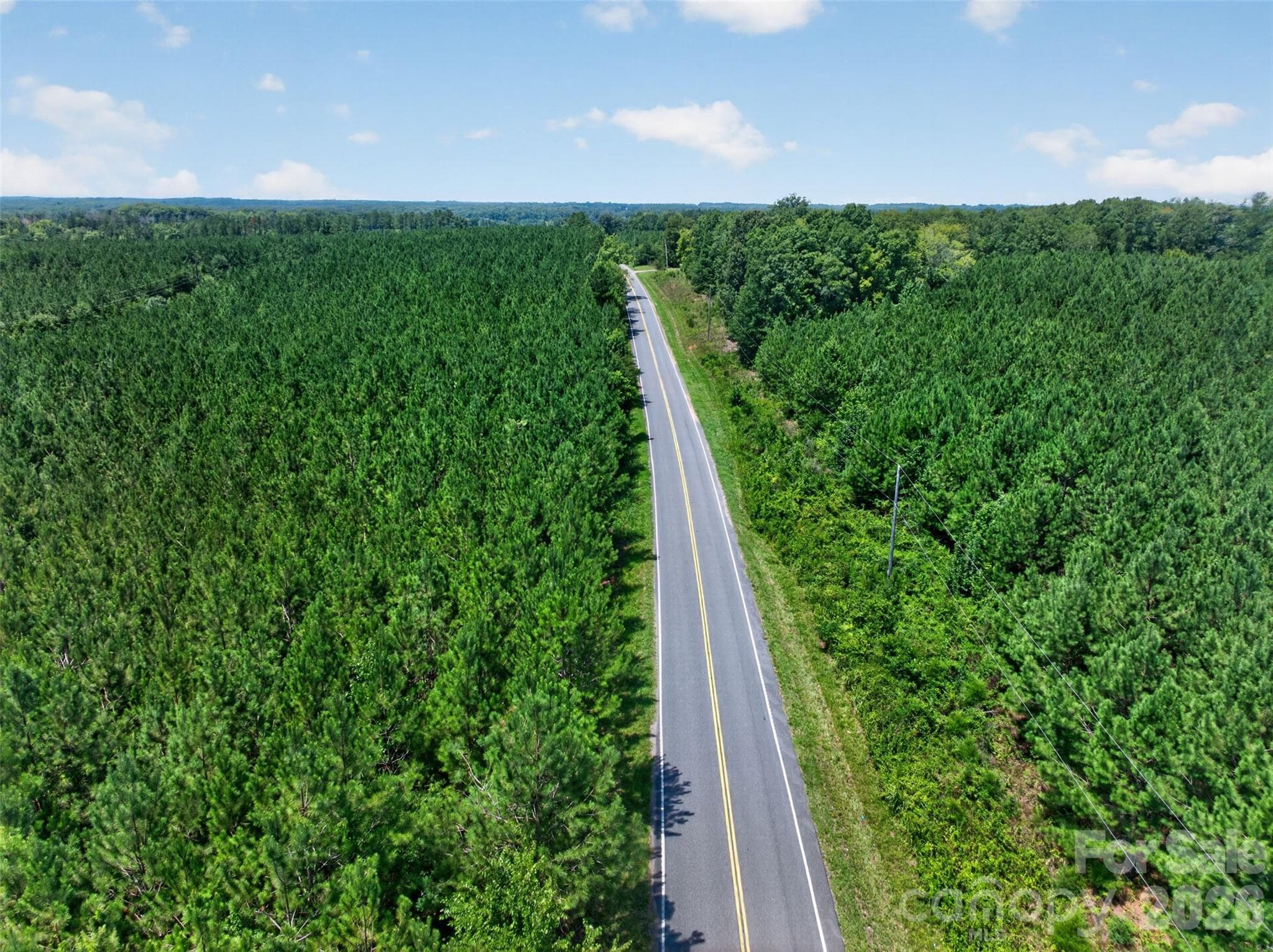 Acreage at 0000 Westbrook Road, Edgemoor, photo 12 of 48