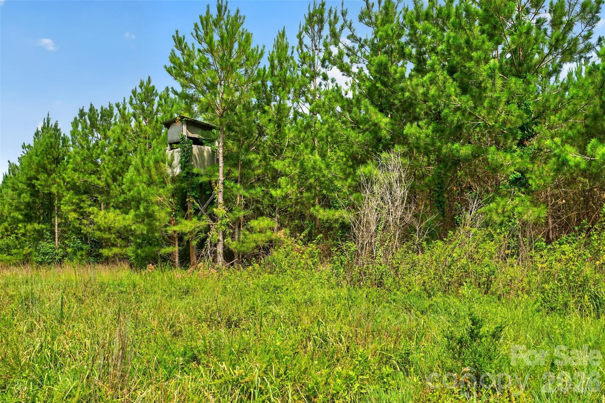 Acreage at 0000 Westbrook Road, Edgemoor, photo 14 of 48
