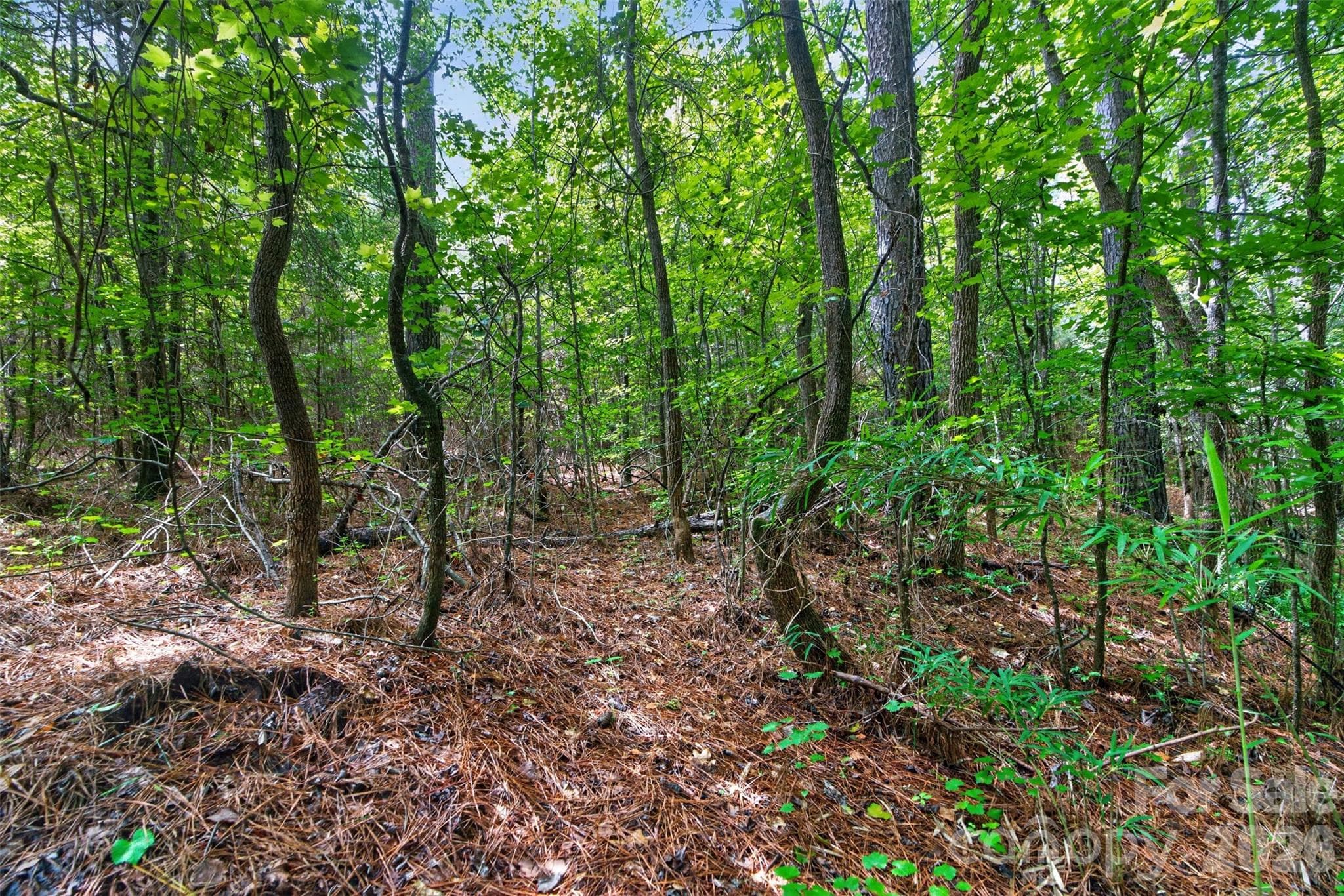 Acreage at 0000 Westbrook Road, Edgemoor, photo 15 of 48