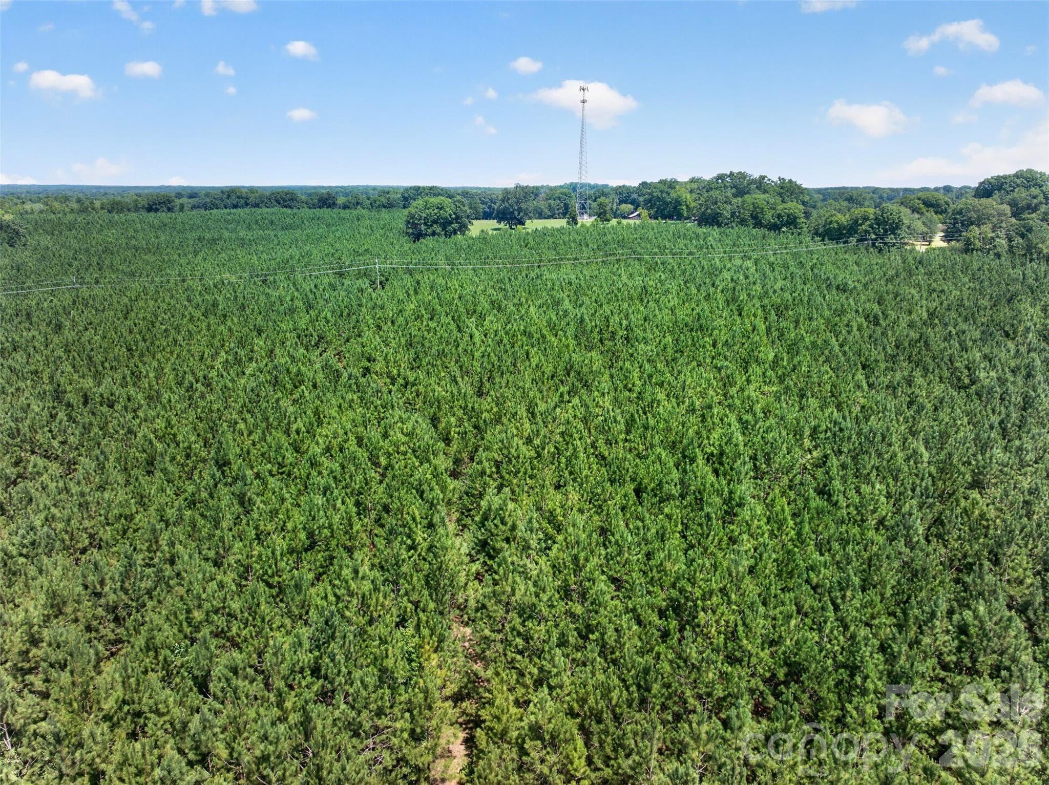 Acreage at 0000 Westbrook Road, Edgemoor, photo 19 of 48
