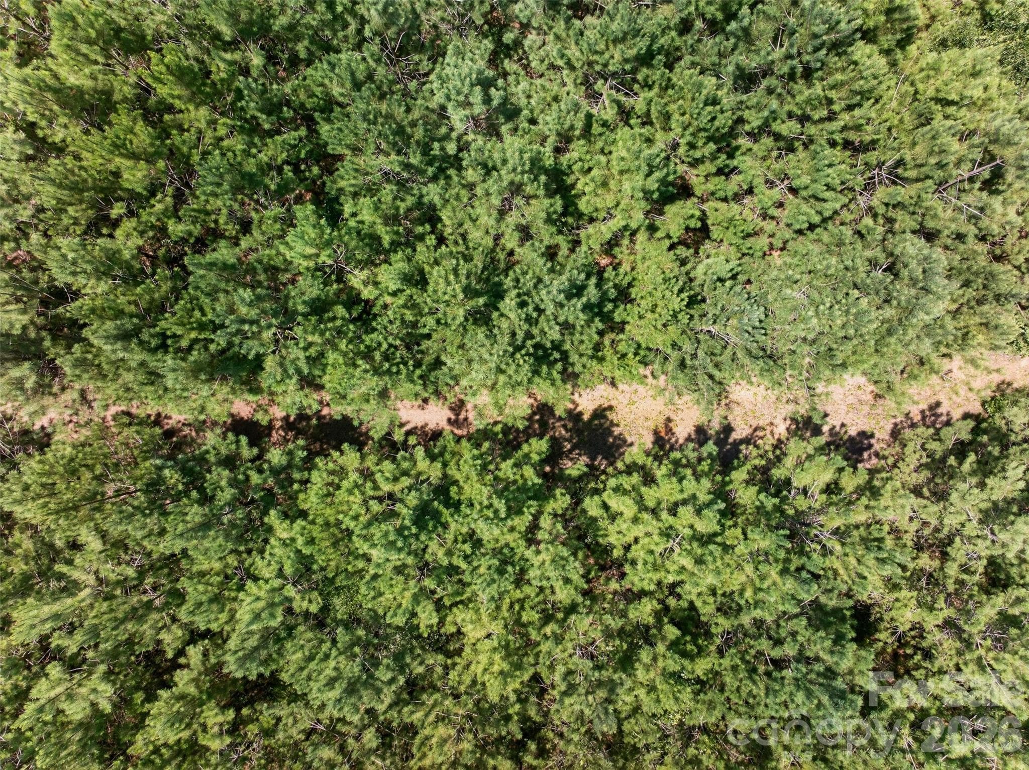 Acreage at 0000 Westbrook Road, Edgemoor, photo 21 of 48