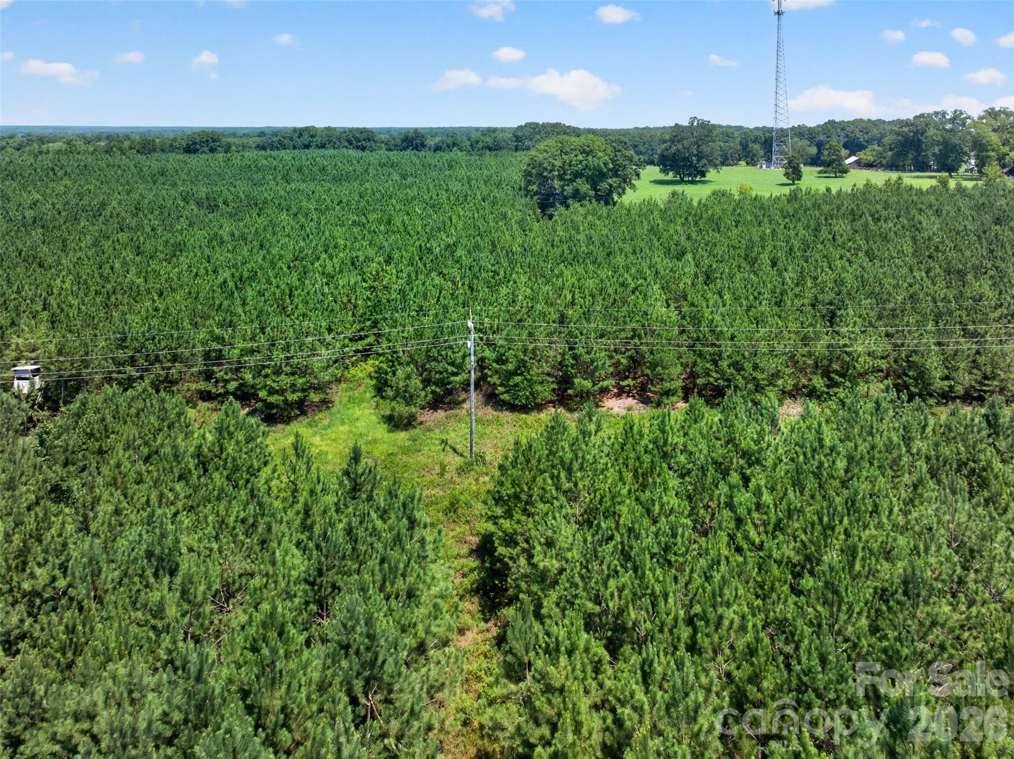 Acreage at 0000 Westbrook Road, Edgemoor, photo 30 of 48