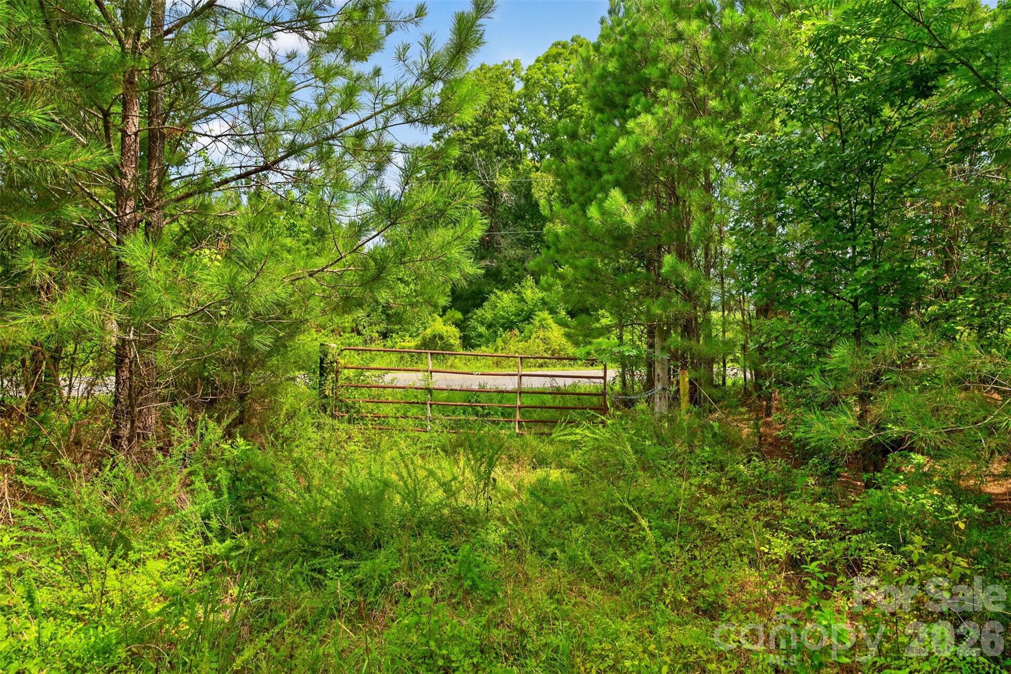 Acreage at 0000 Westbrook Road, Edgemoor, photo 37 of 48