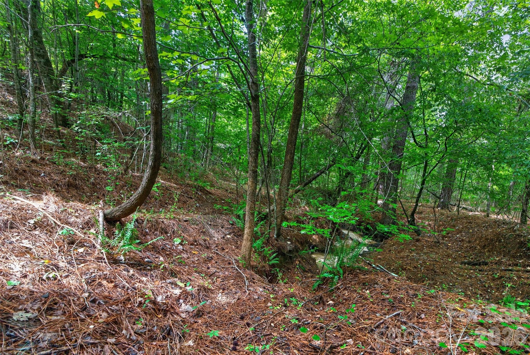 Acreage at 0000 Westbrook Road, Edgemoor, photo 42 of 48