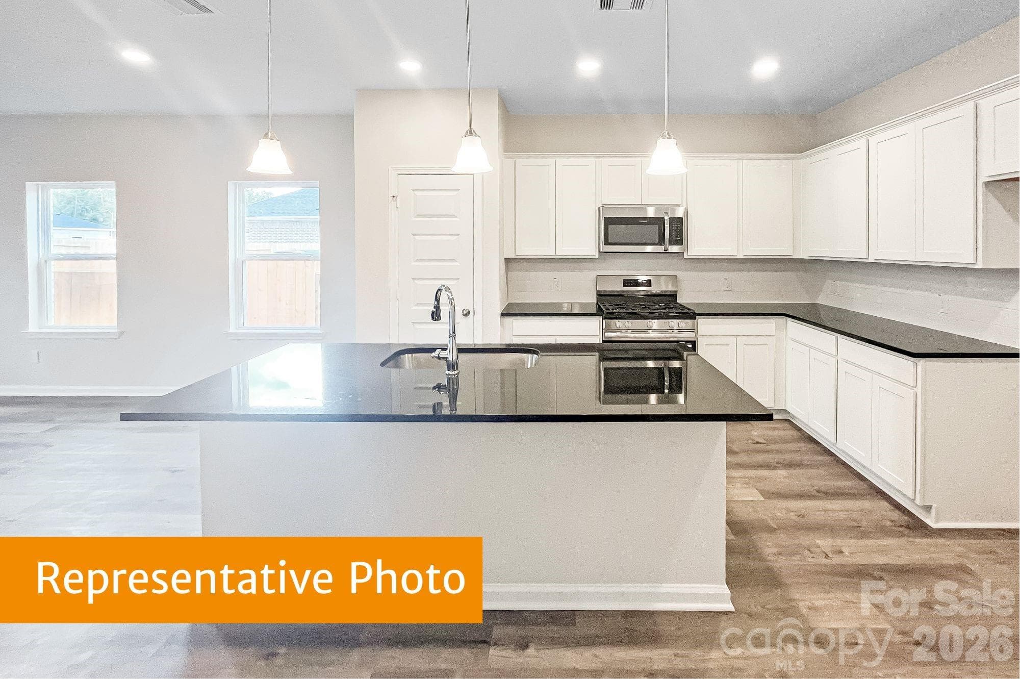 Single Family Residence at 4145 Ruth Creek Court, Charlotte, photo 4 of 19