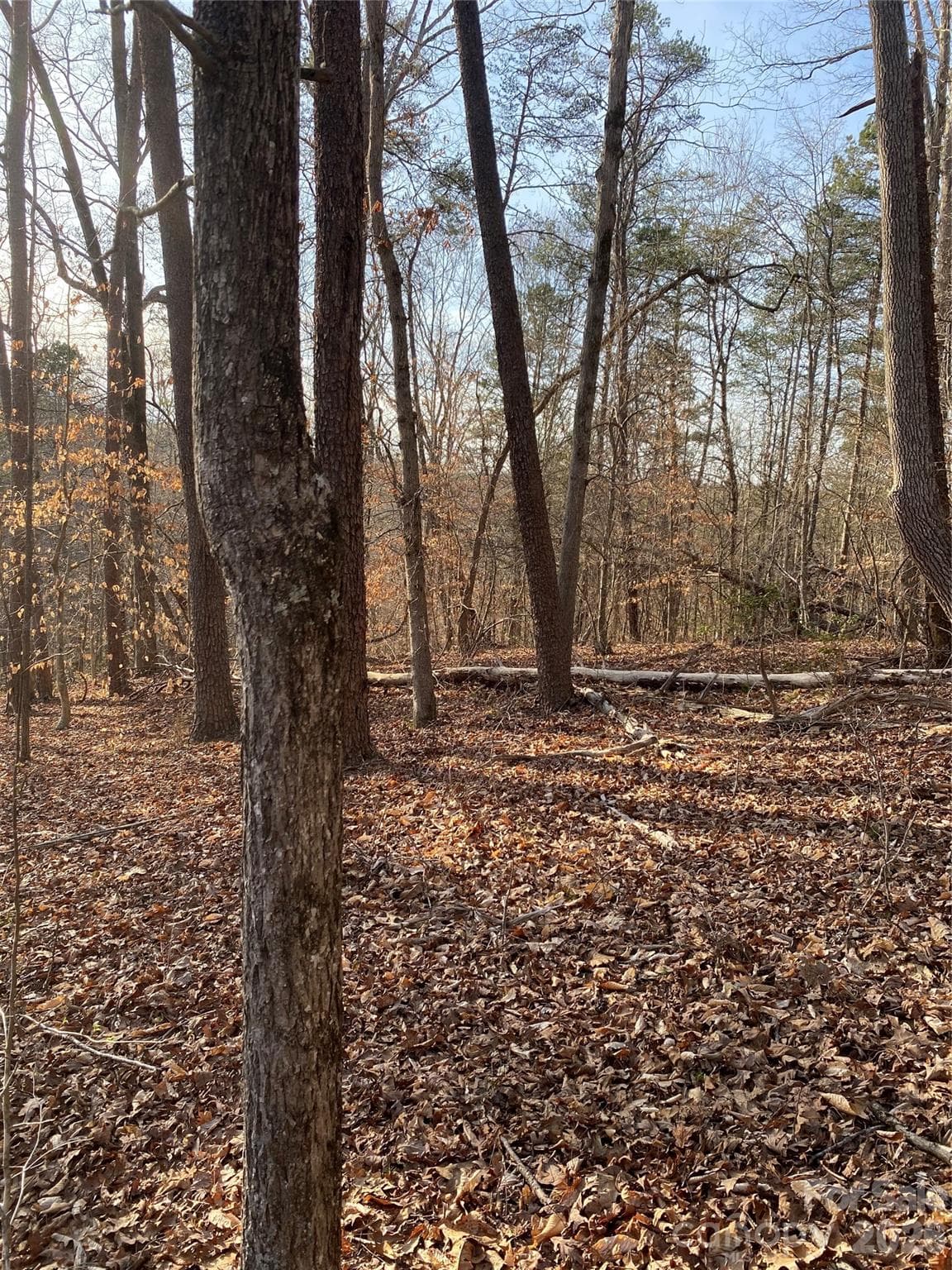 Acreage at 0 Hugh Champion Road, Tryon, photo 3 of 5