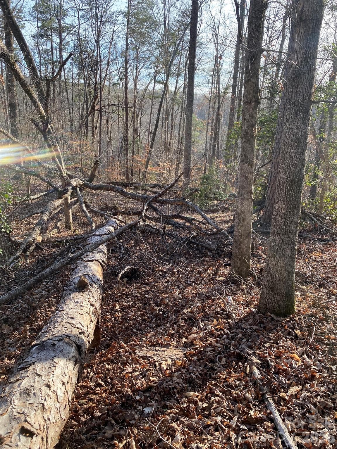 Acreage at 0 Hugh Champion Road, Tryon, photo 4 of 5