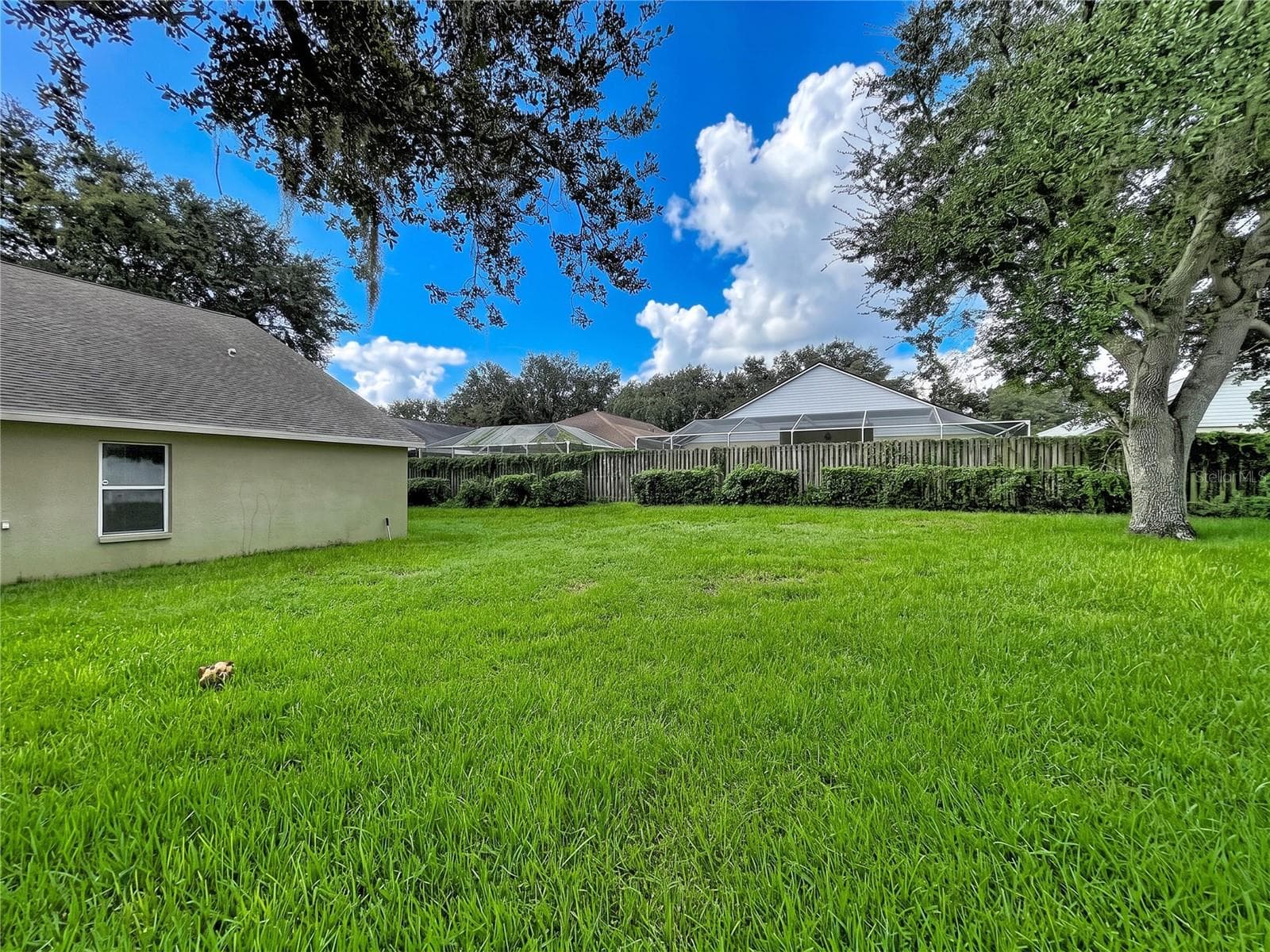 Back Yard - 1124 SPLIT SILK ST, VALRICO
