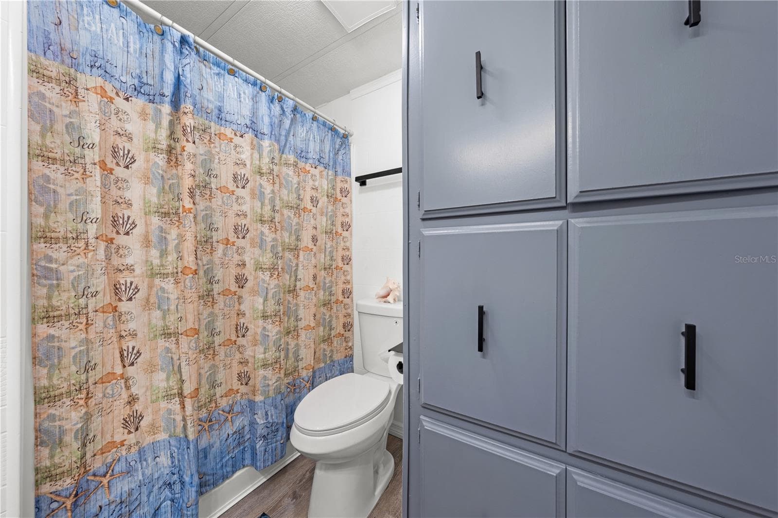Guest bath with TONS of storage - 5601 LAKE LIZZIE DR, ST CLOUD