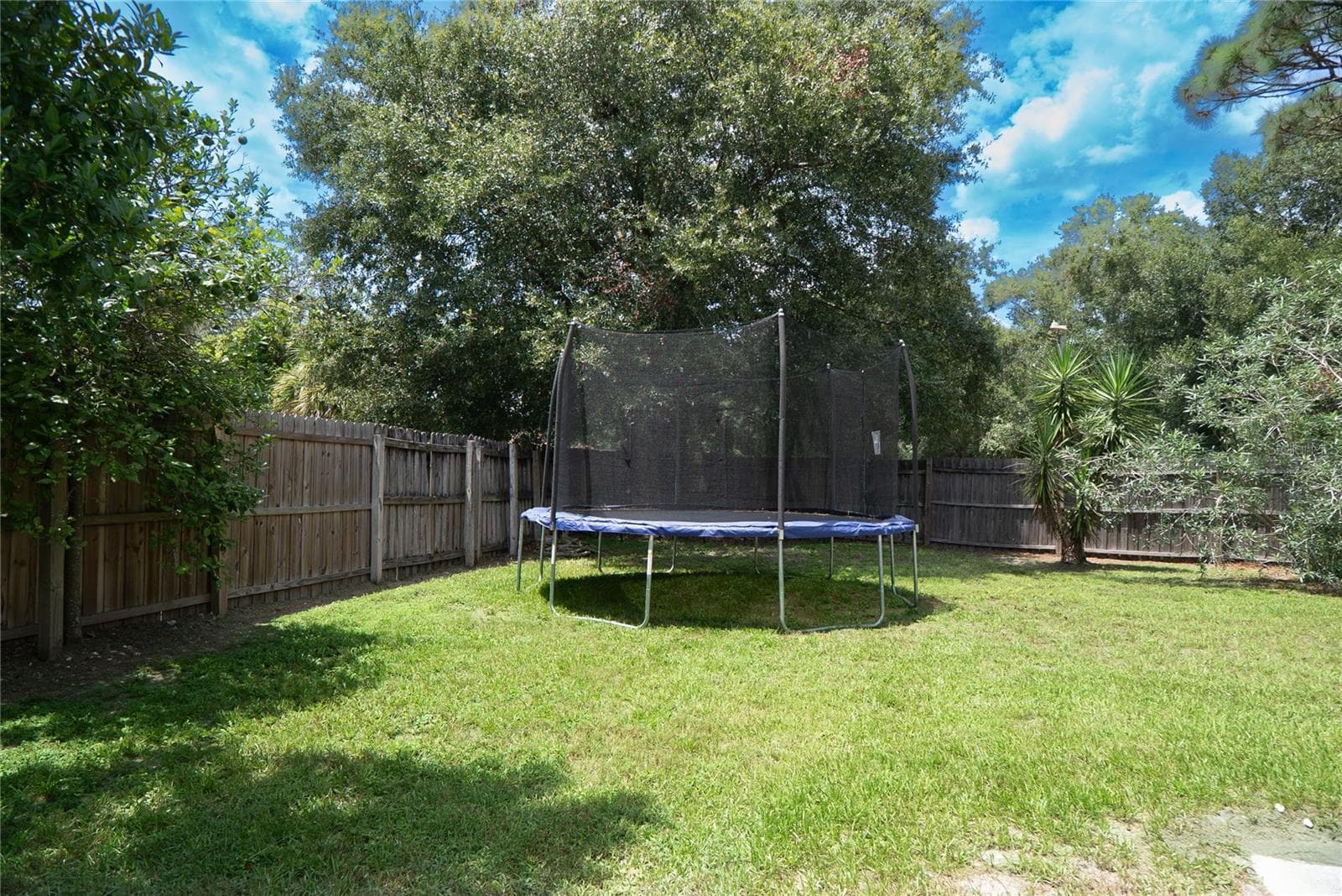 Side Yard - 304 SHADOW OAK DR, CASSELBERRY