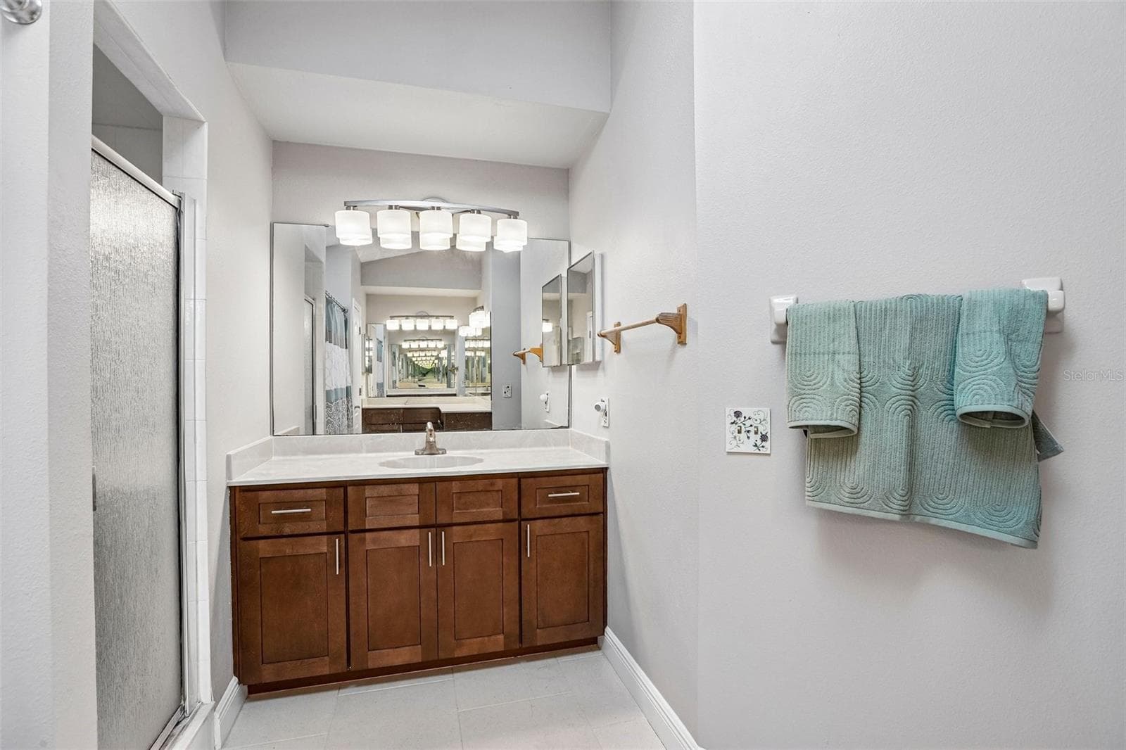 Primary Bathroom - 1424 DUMONT DR, VALRICO