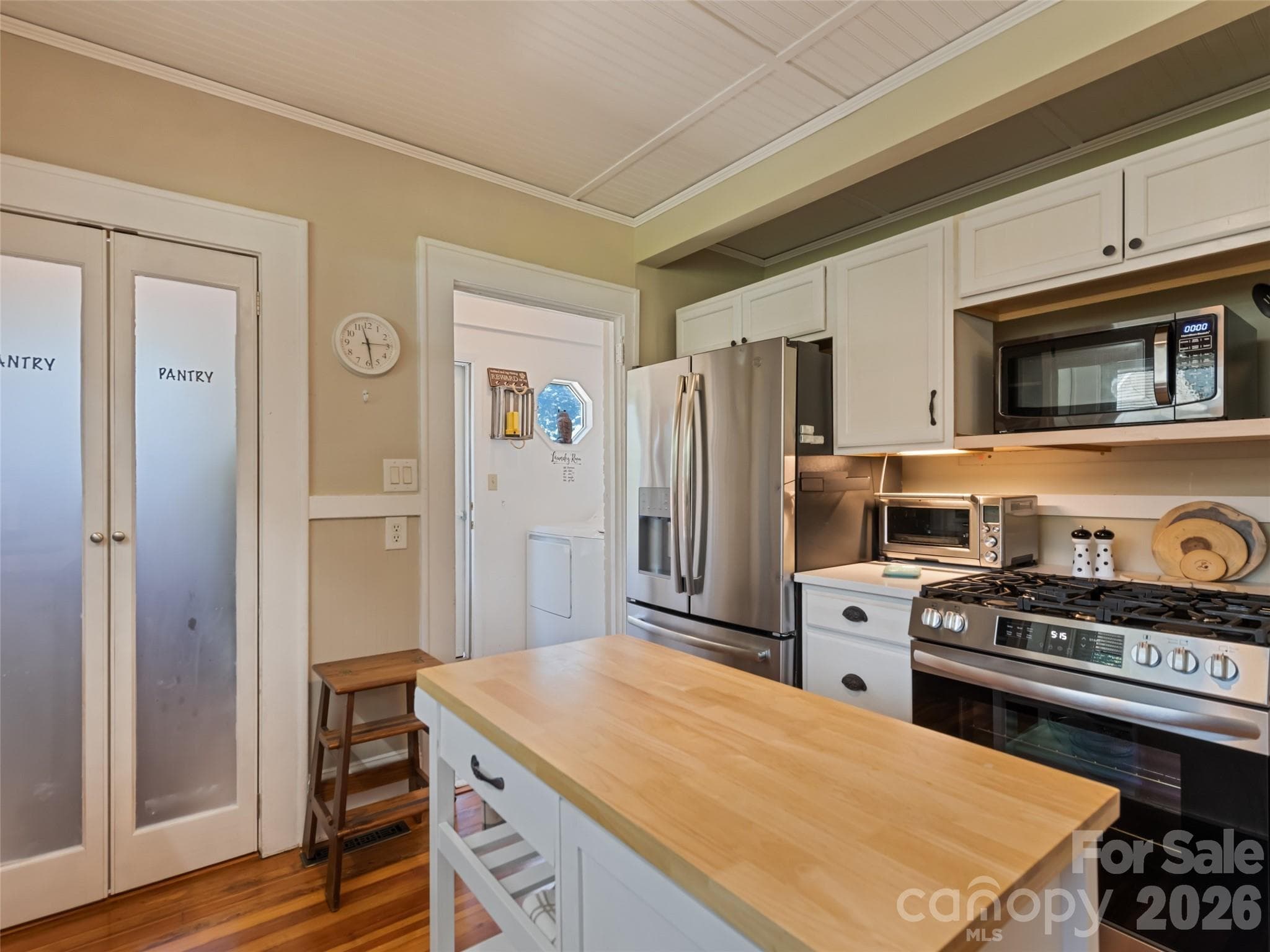 High end appliances and kitchen pantry - 50 Epsom Street, Waynesville