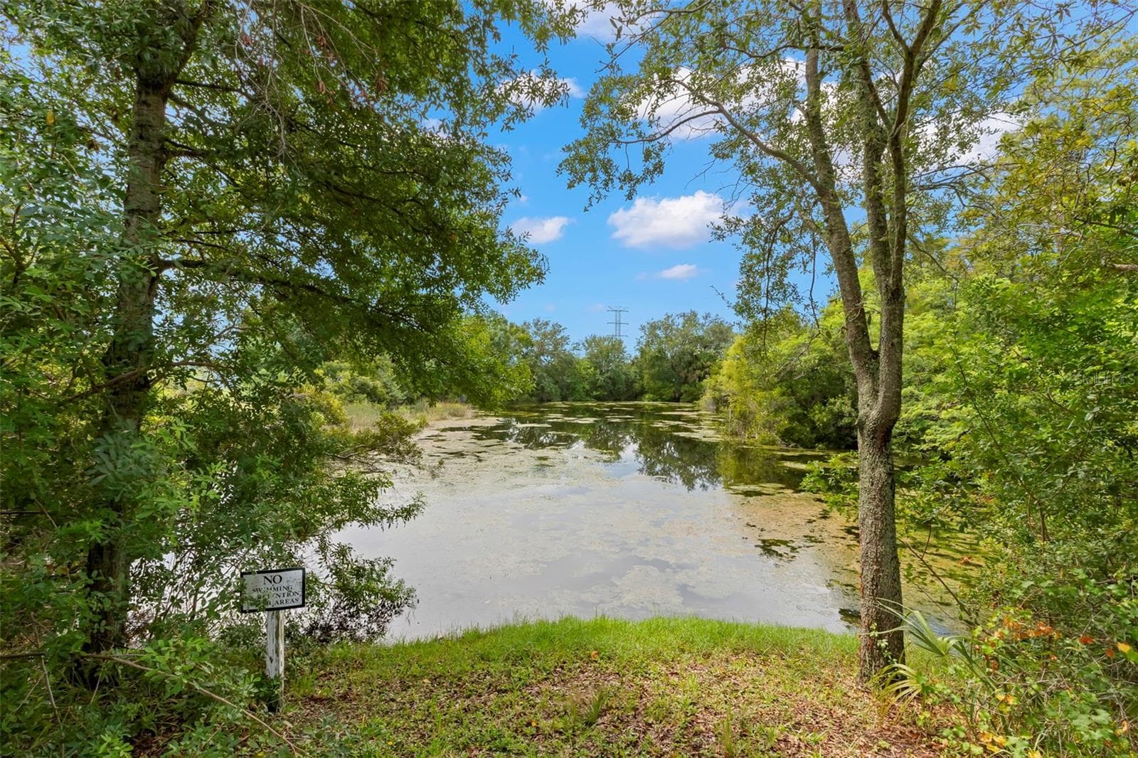 Pond views from patio - 2523 SANDY BEACH LN, CLEARWATER