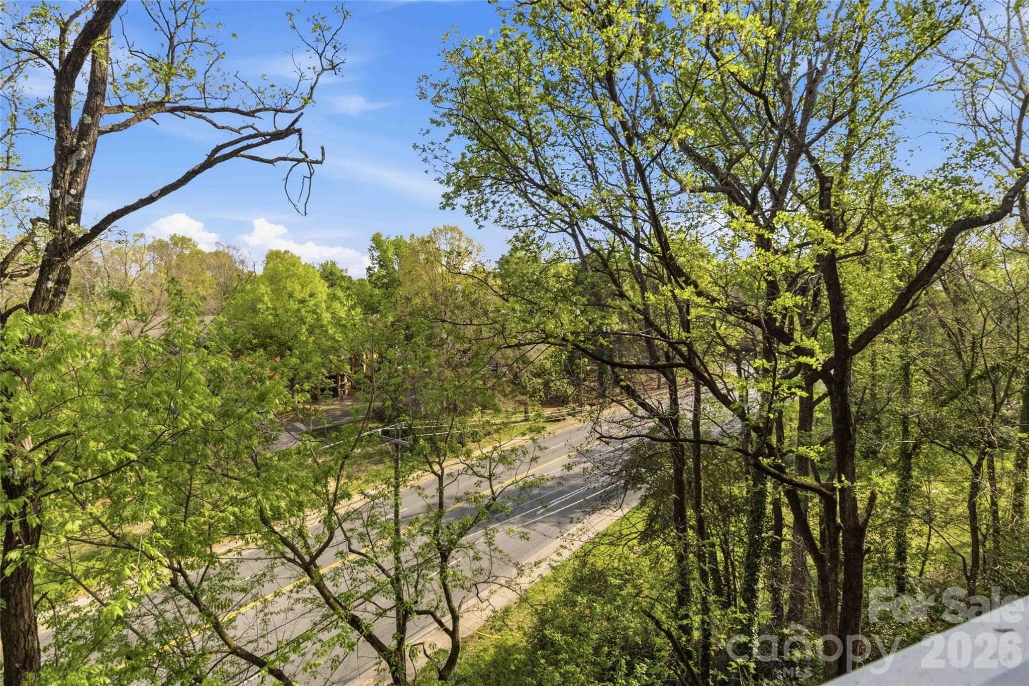 Private, wooded view from the balcony - 1000 E Woodlawn Road, Charlotte