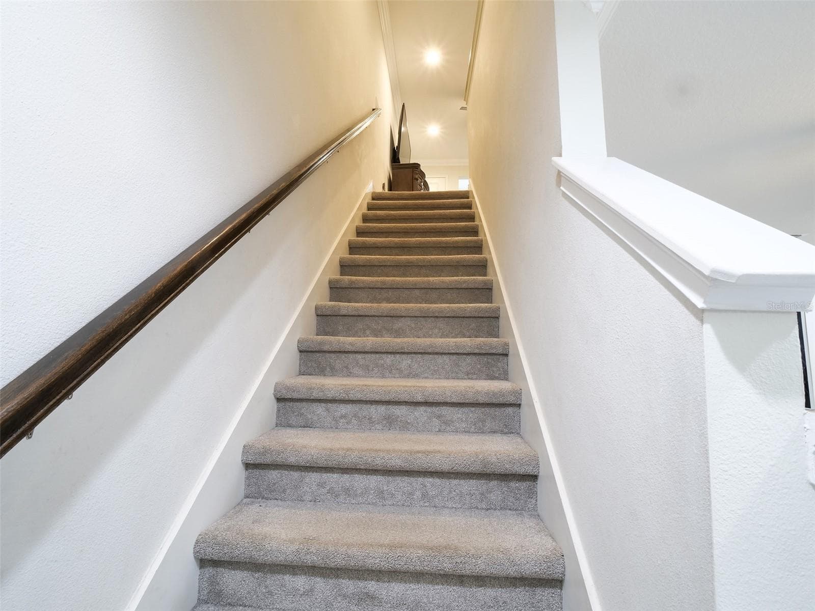 Townhouse at 14309 PONDHAWK LN, TAMPA, photo 9 of 45