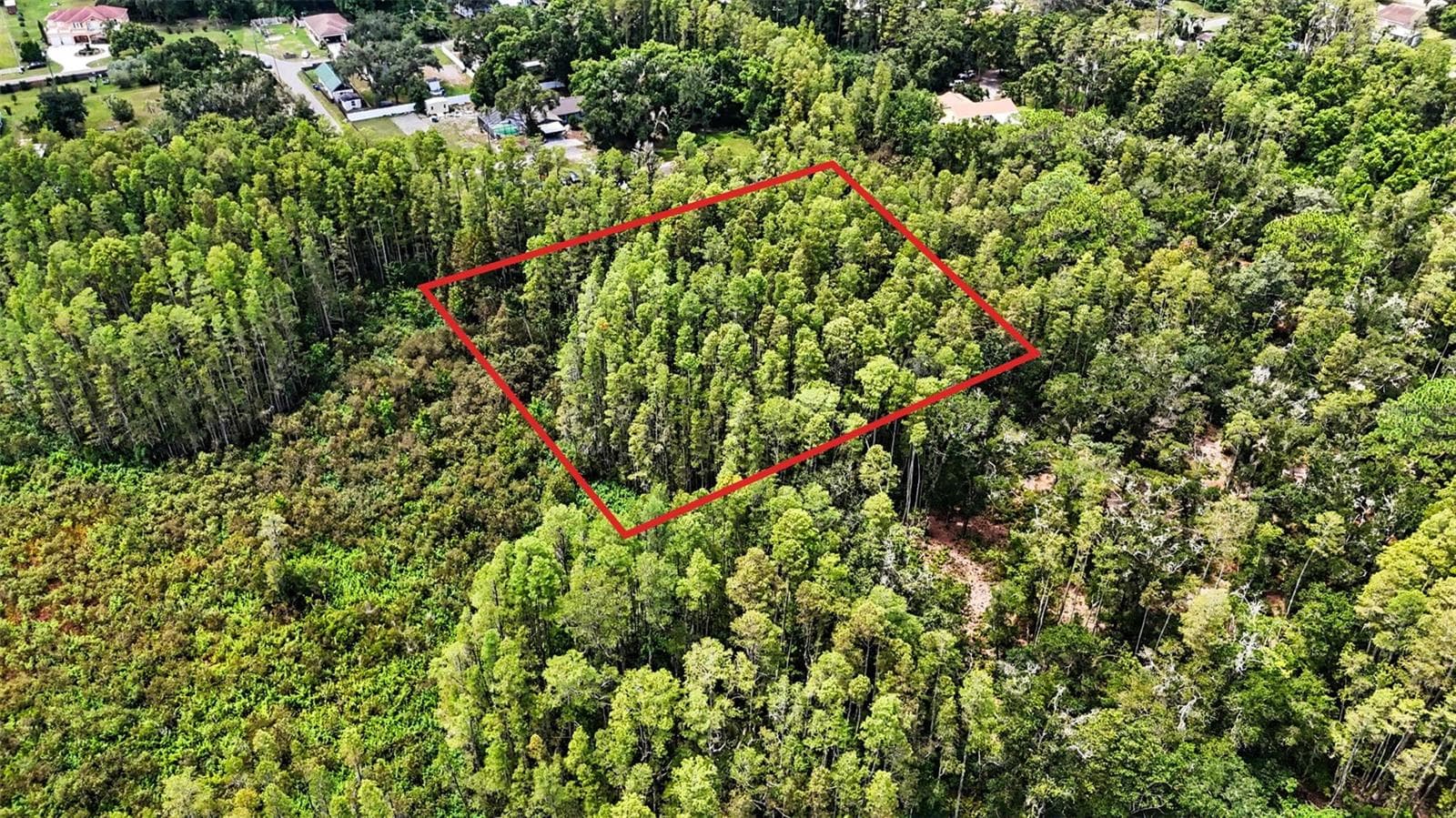 Land at 0 2ND AVE NE, LUTZ, photo 2 of 31