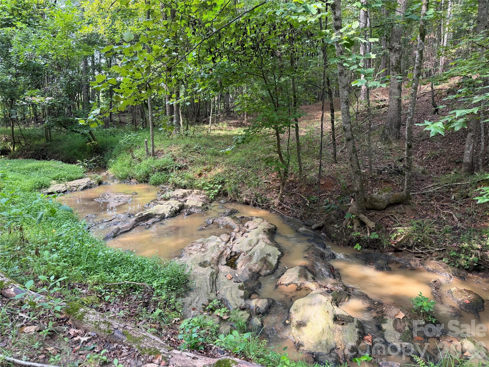 151 Whispering Pines Lane